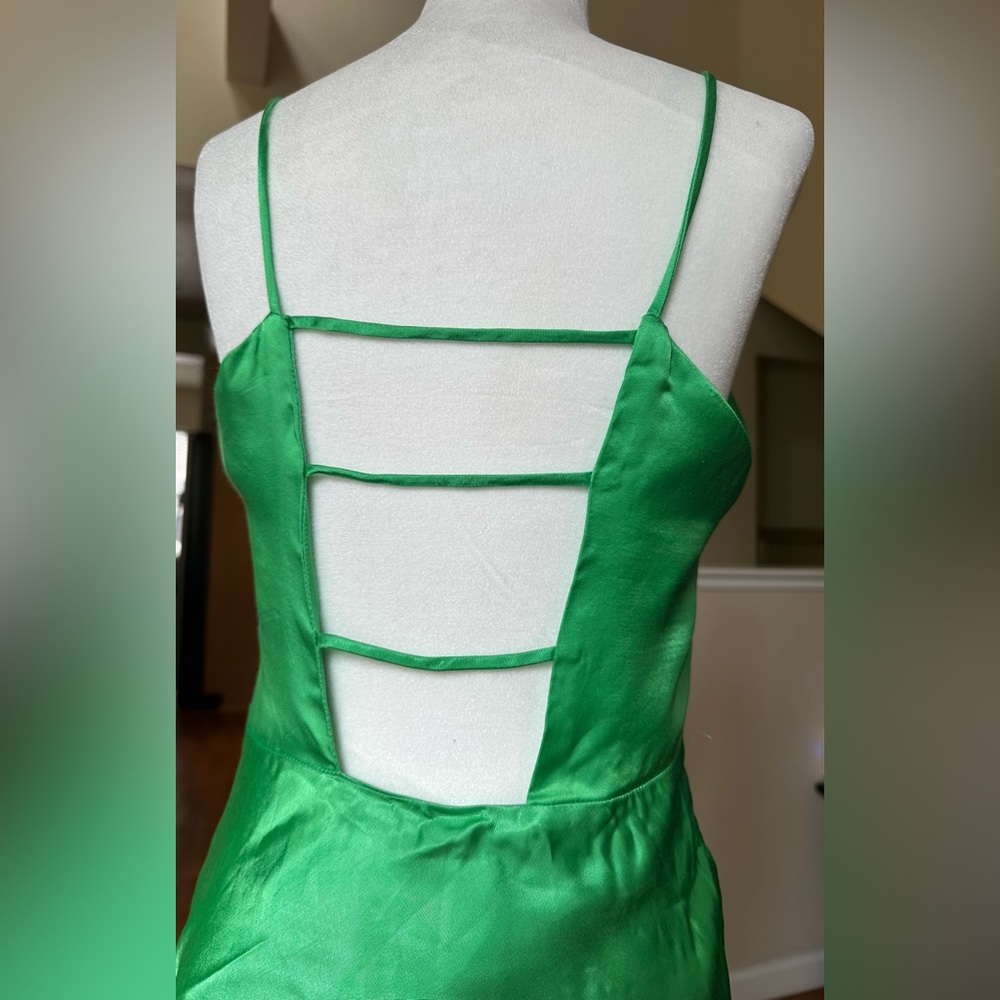 Zara Dress - Picture 3 of 6